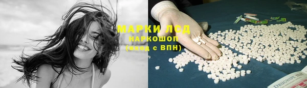 гидропоника Рославль