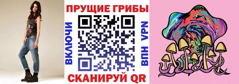 Псилоцибиновые грибы мицелий  Курчалой 